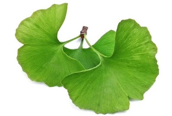 OstyHealth with Ginkgo Biloba