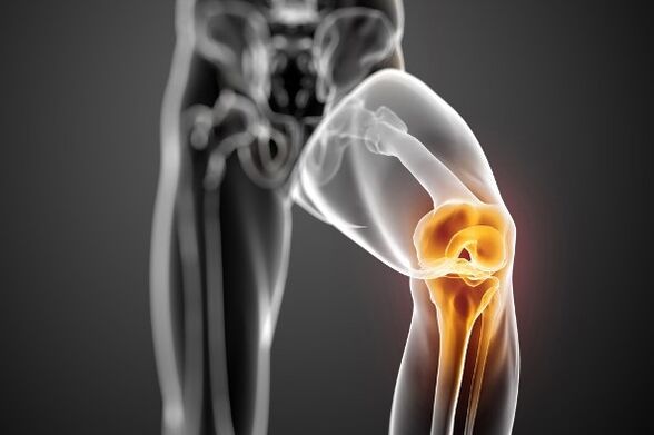 Knee joints